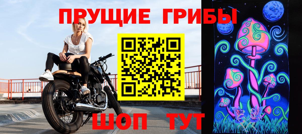 Псилоцибиновые грибы мухоморы  купить закладку  Богданович  Вход с VPN 
