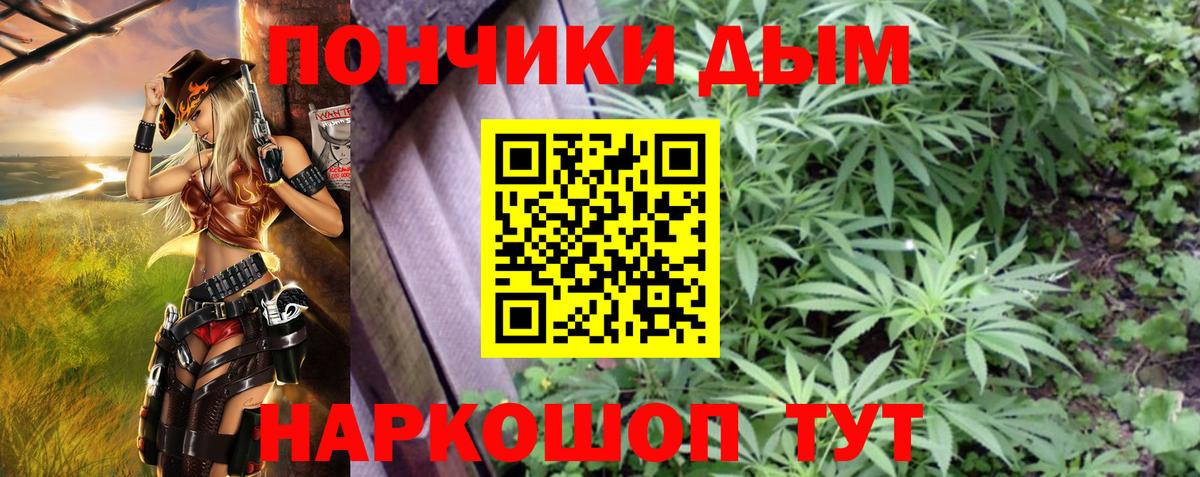 Богданович  Шишки марихуана OG Kush  МАРИХУАНА Bruce Banner  Каннабис план  Вход с VPN 